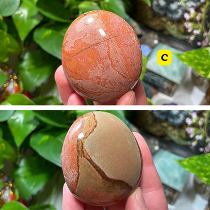 Polychrome Jasper Palm Stone