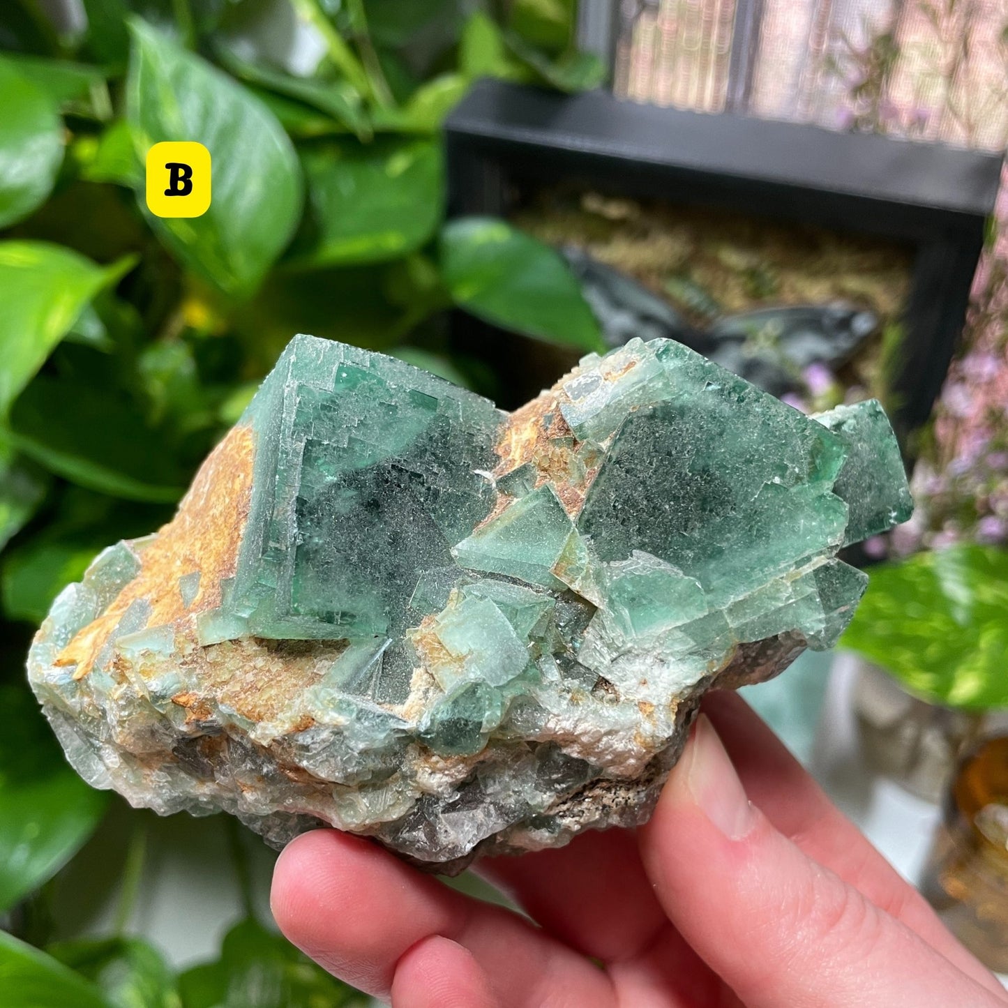 Raw Green Fluorite