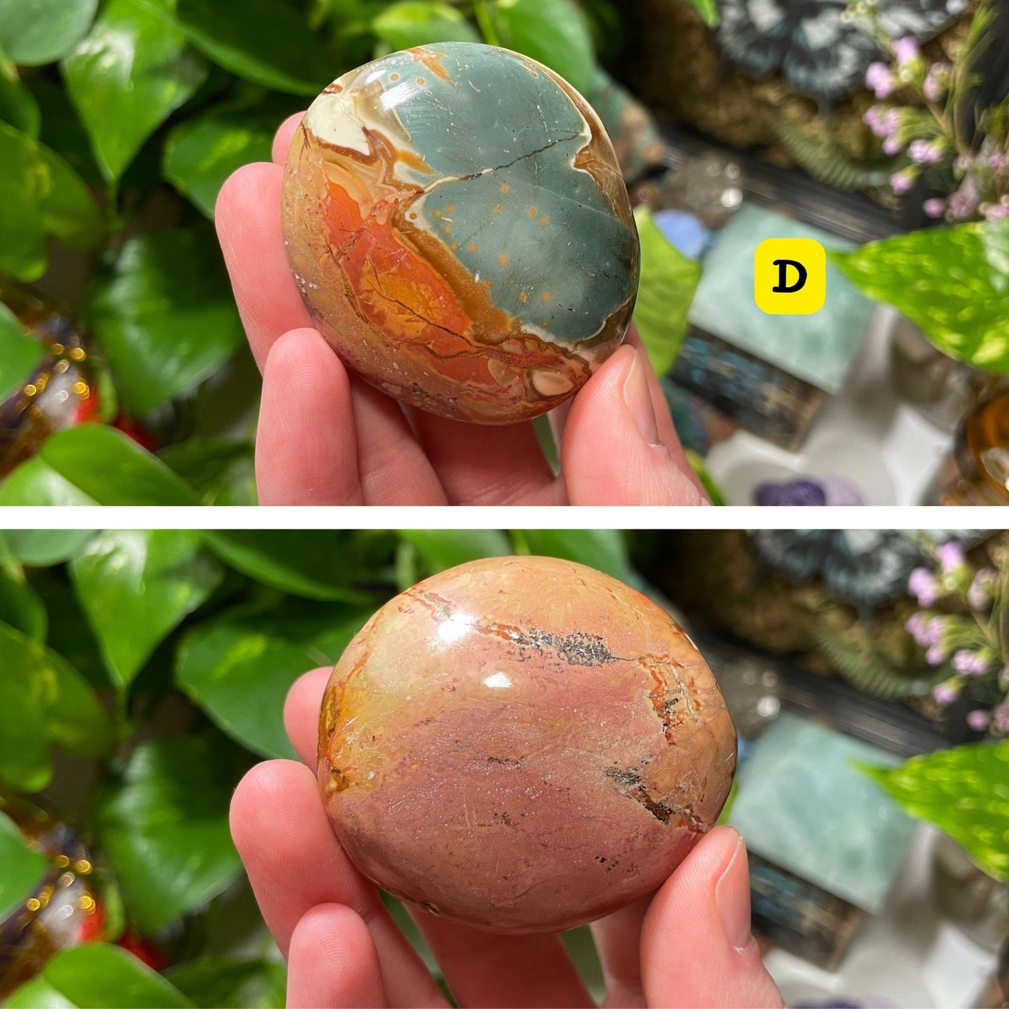 Polychrome Jasper Palm Stone