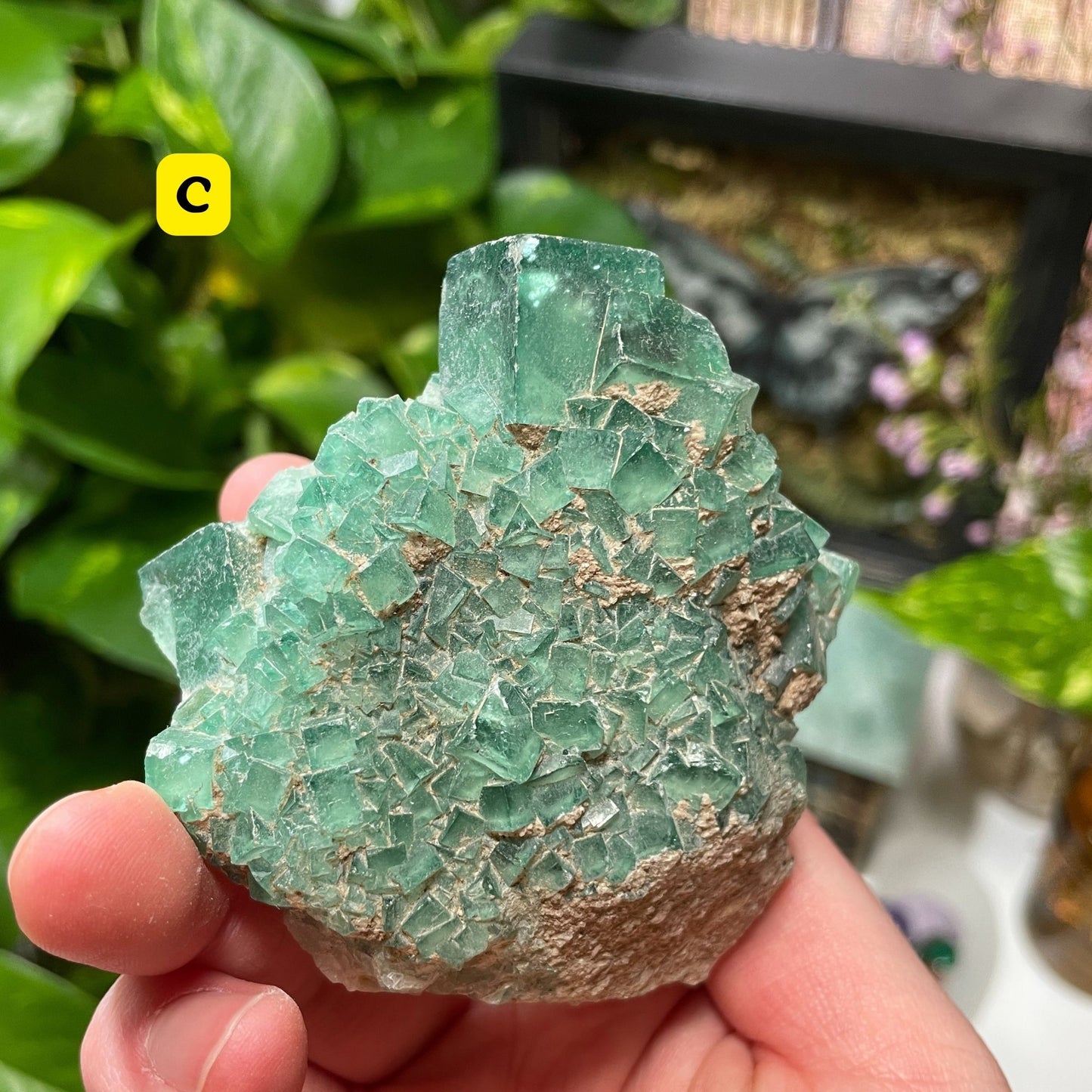 Raw Green Fluorite