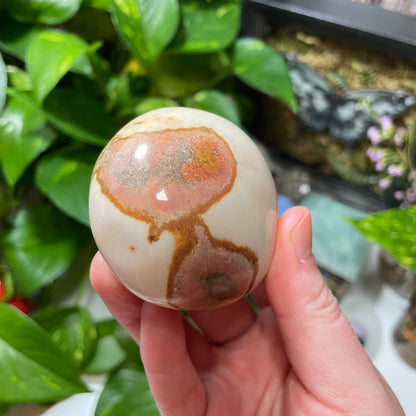 Polychrome Jasper Palm Stone