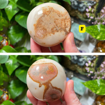 Polychrome Jasper Palm Stone