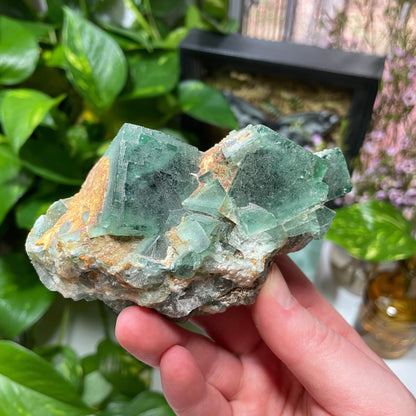 Raw Green Fluorite