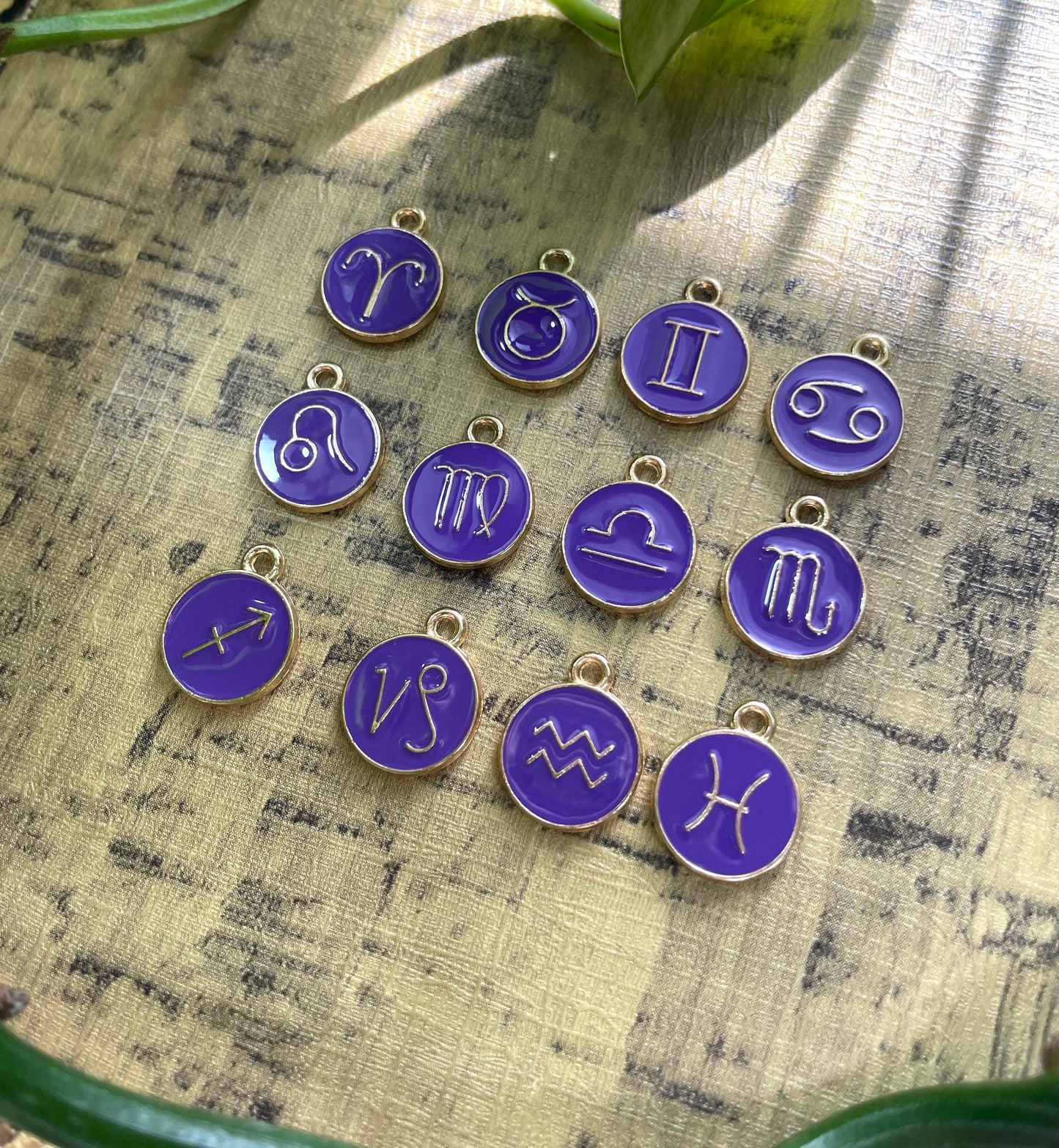 12 Astrology Zodiac Signs Charm Pack (Purple)