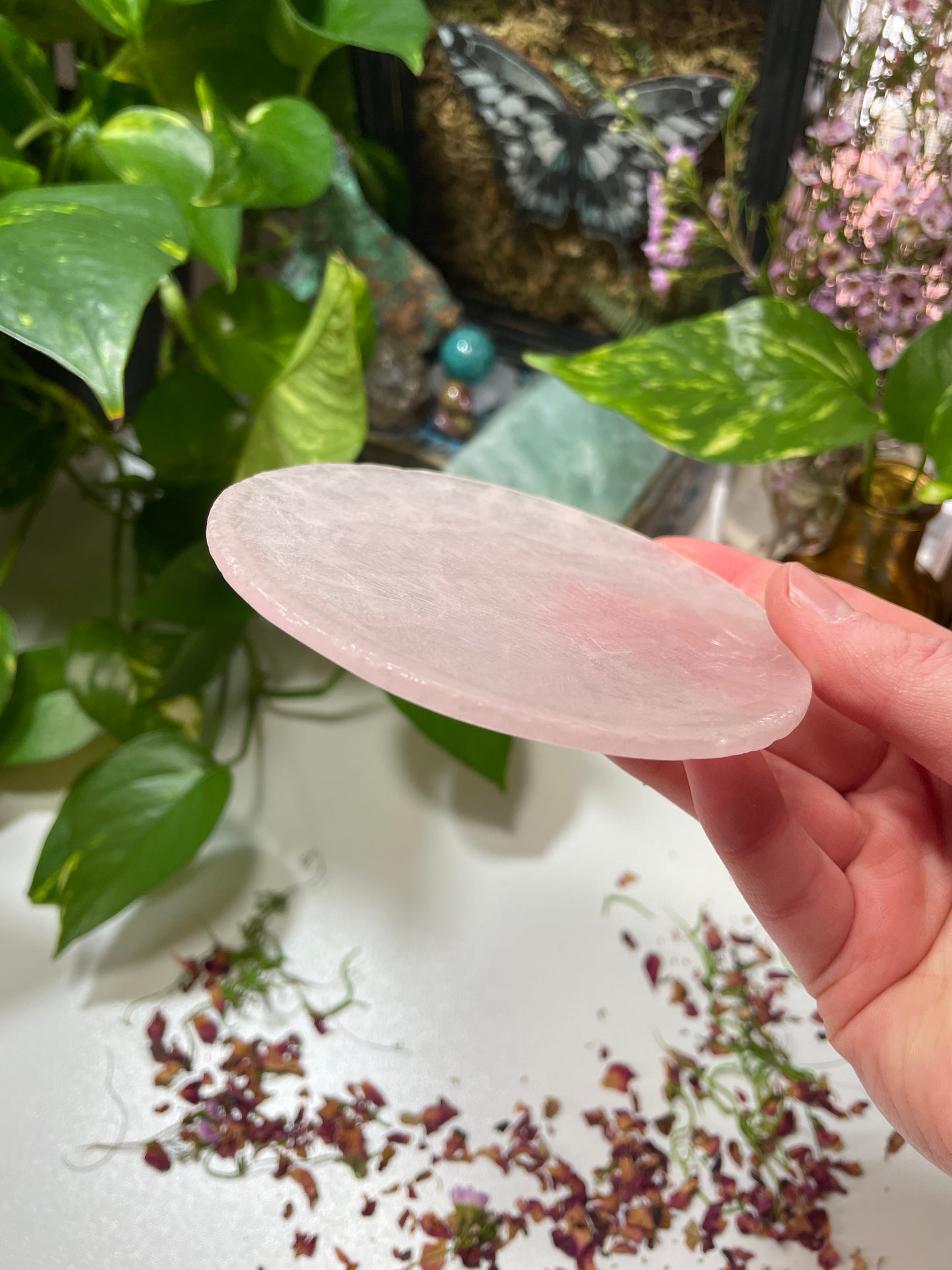 Rose Quartz Cup and Saucer B