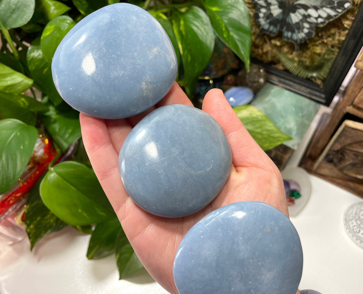 Angelite Palm Stone