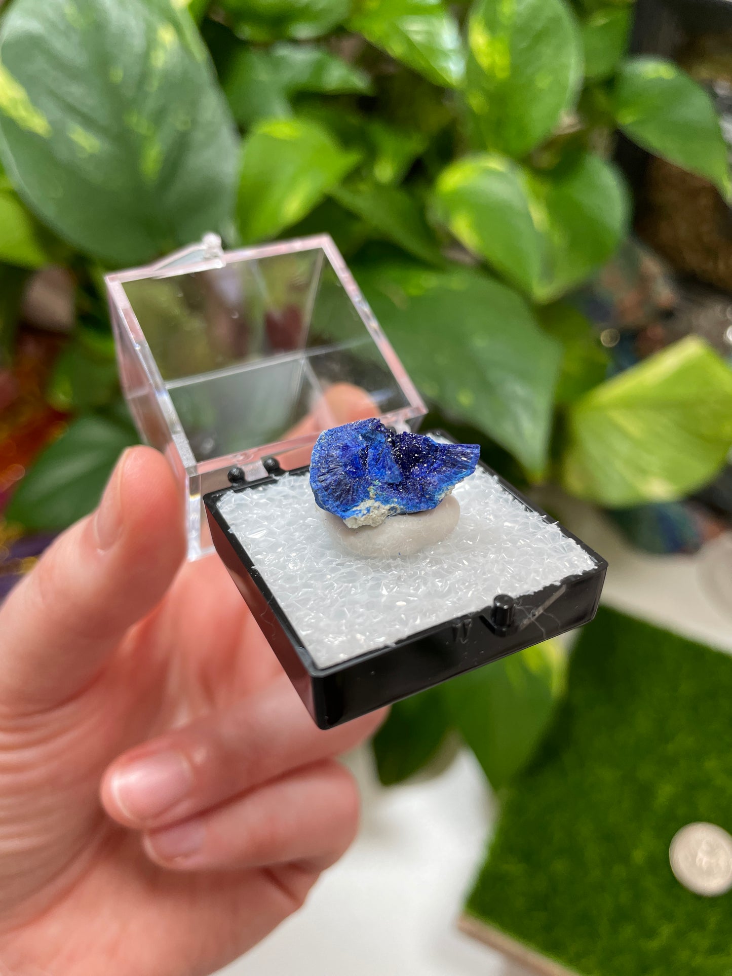 Azurite Specimen in Perky from Russia