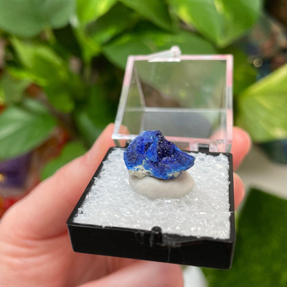 Azurite Specimen in Perky from Russia