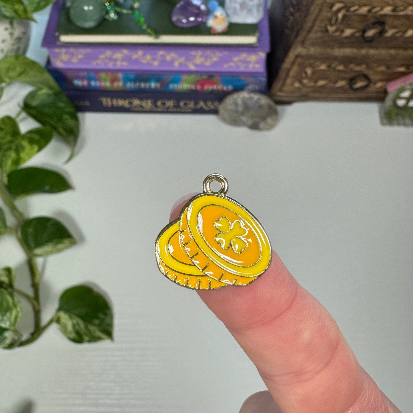 Lucky Coin Charm