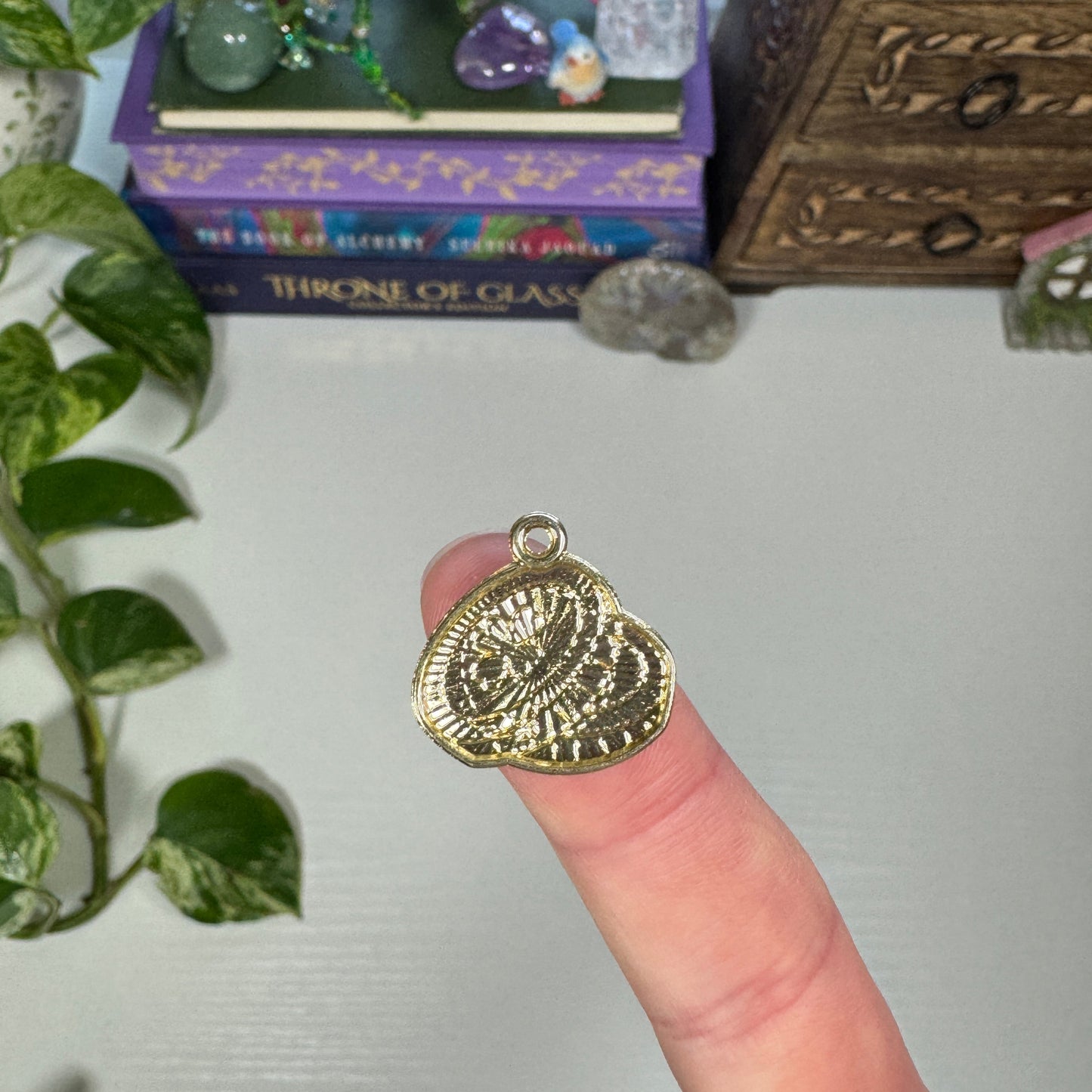 Lucky Coin Charm