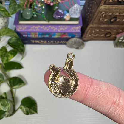 Lucky Horseshoe Charm