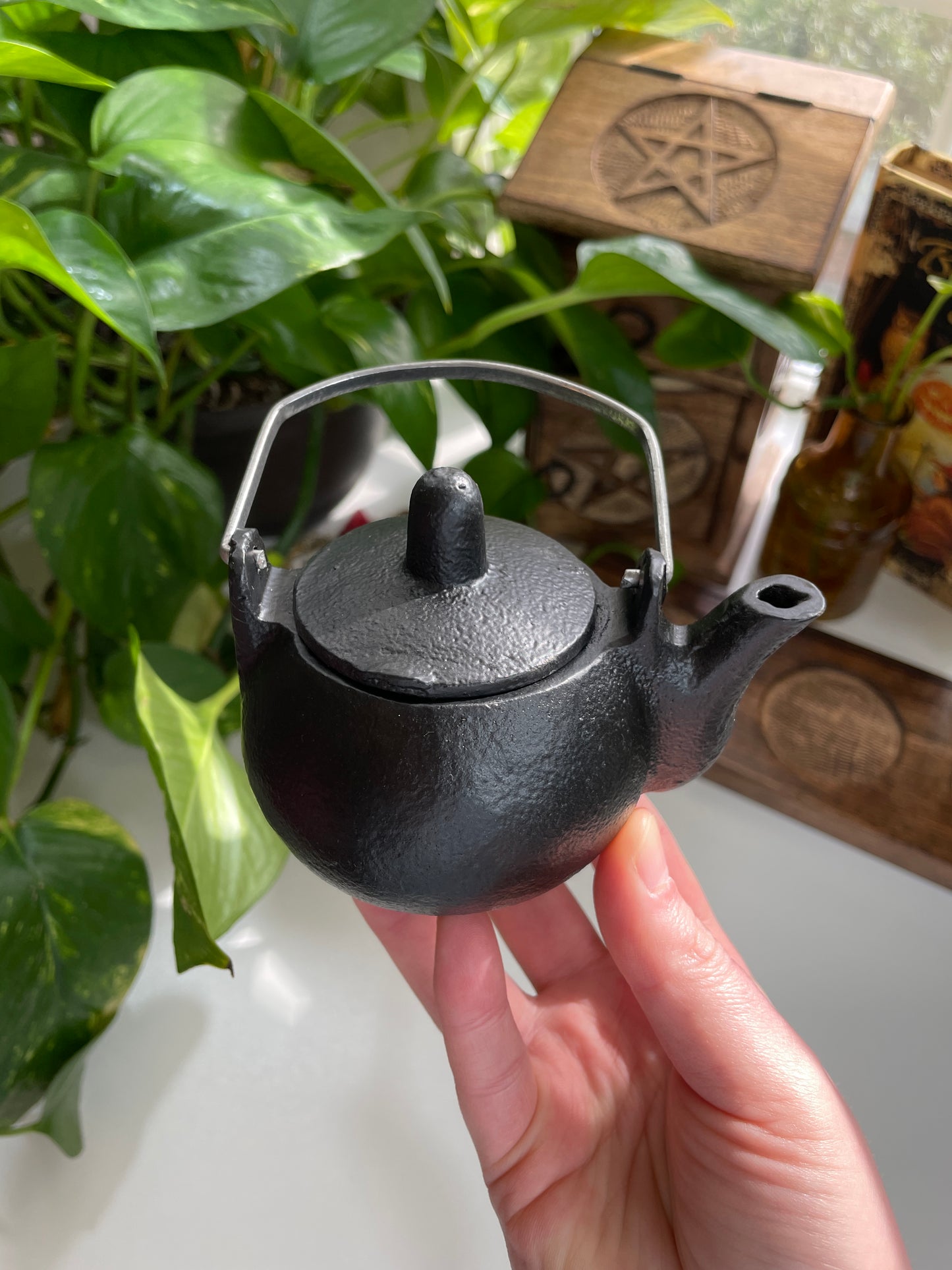 Cast Iron Kettle Cauldron