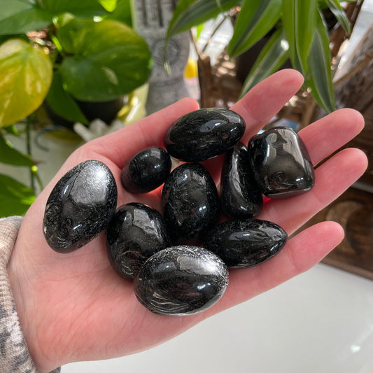 Black Tourmaline Tumble