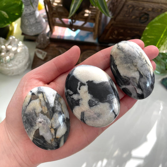 Shell Jasper Palm Stone