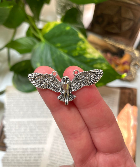 Owl Wing Span Charm