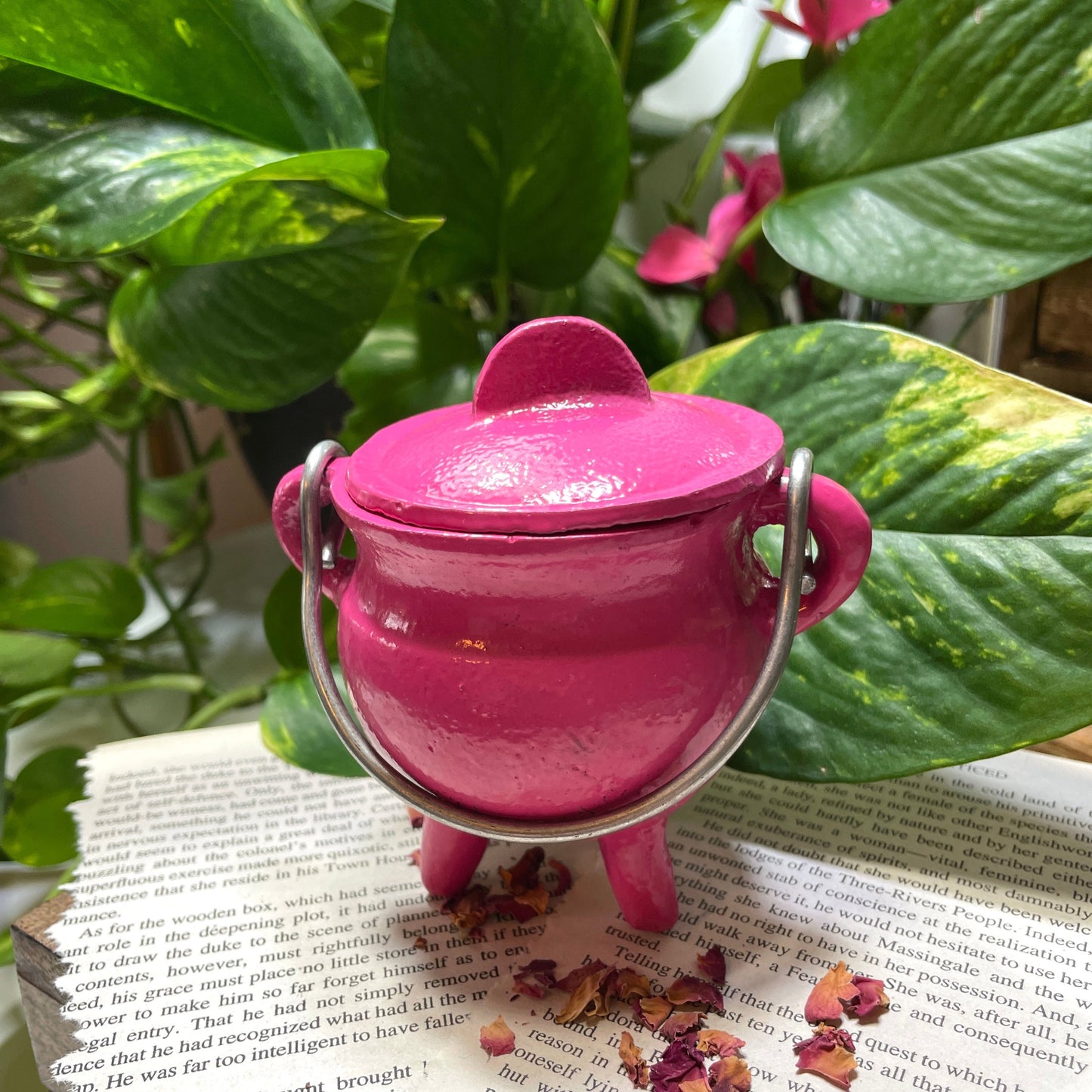 Pink Cast Iron Cauldron