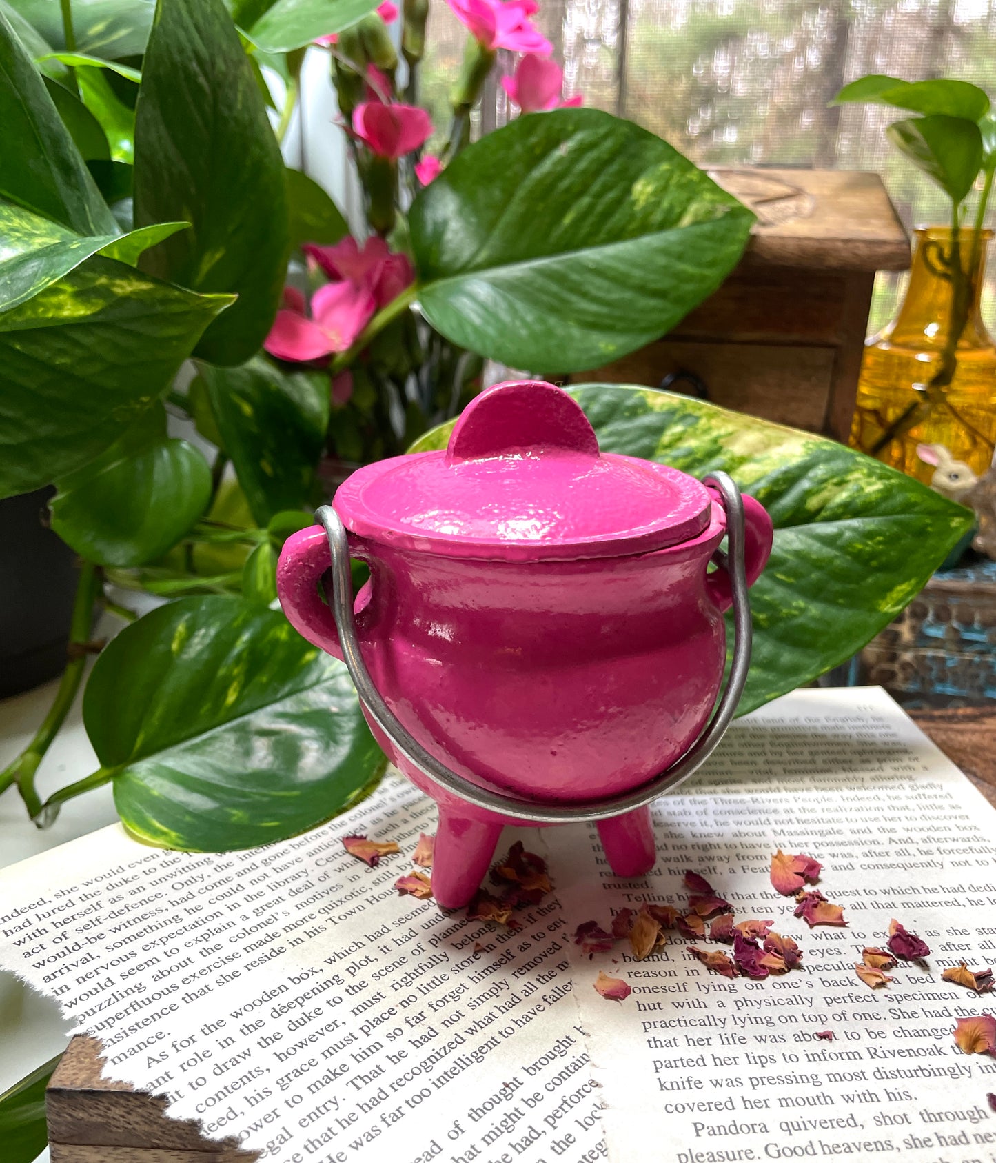 Pink Cast Iron Cauldron