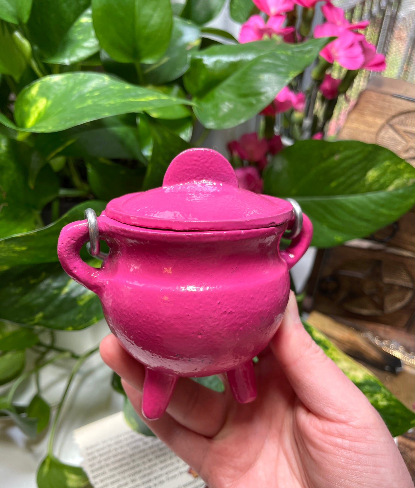 Pink Cast Iron Cauldron