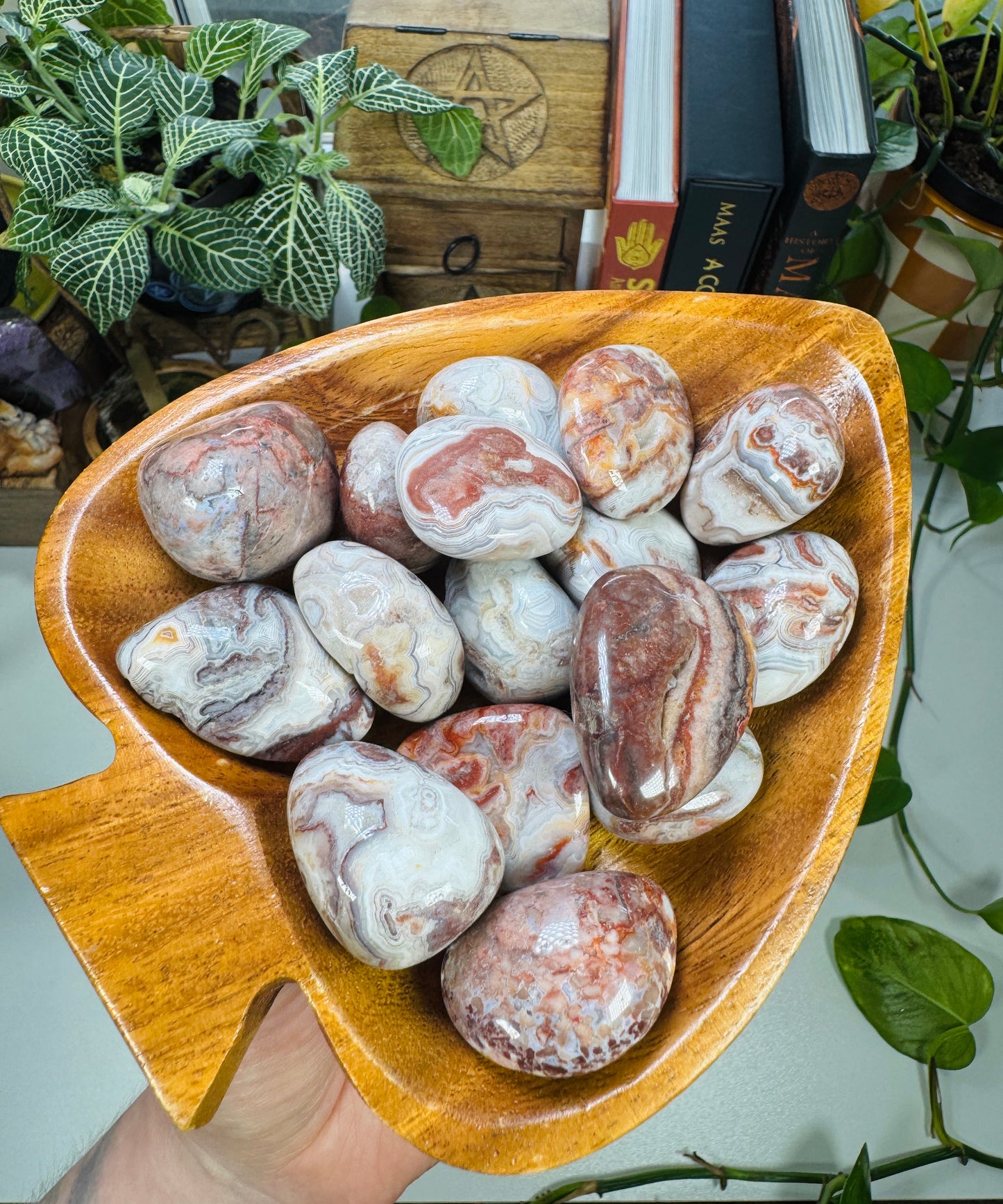 Crazy Lace Agate Tumble
