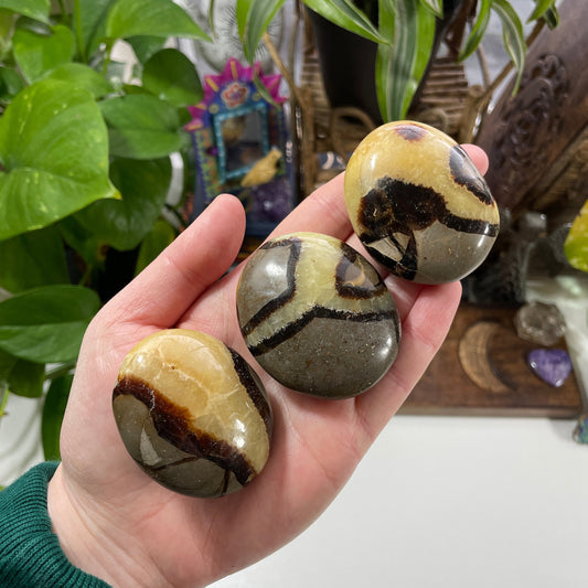 Septarian Small Palm Stone