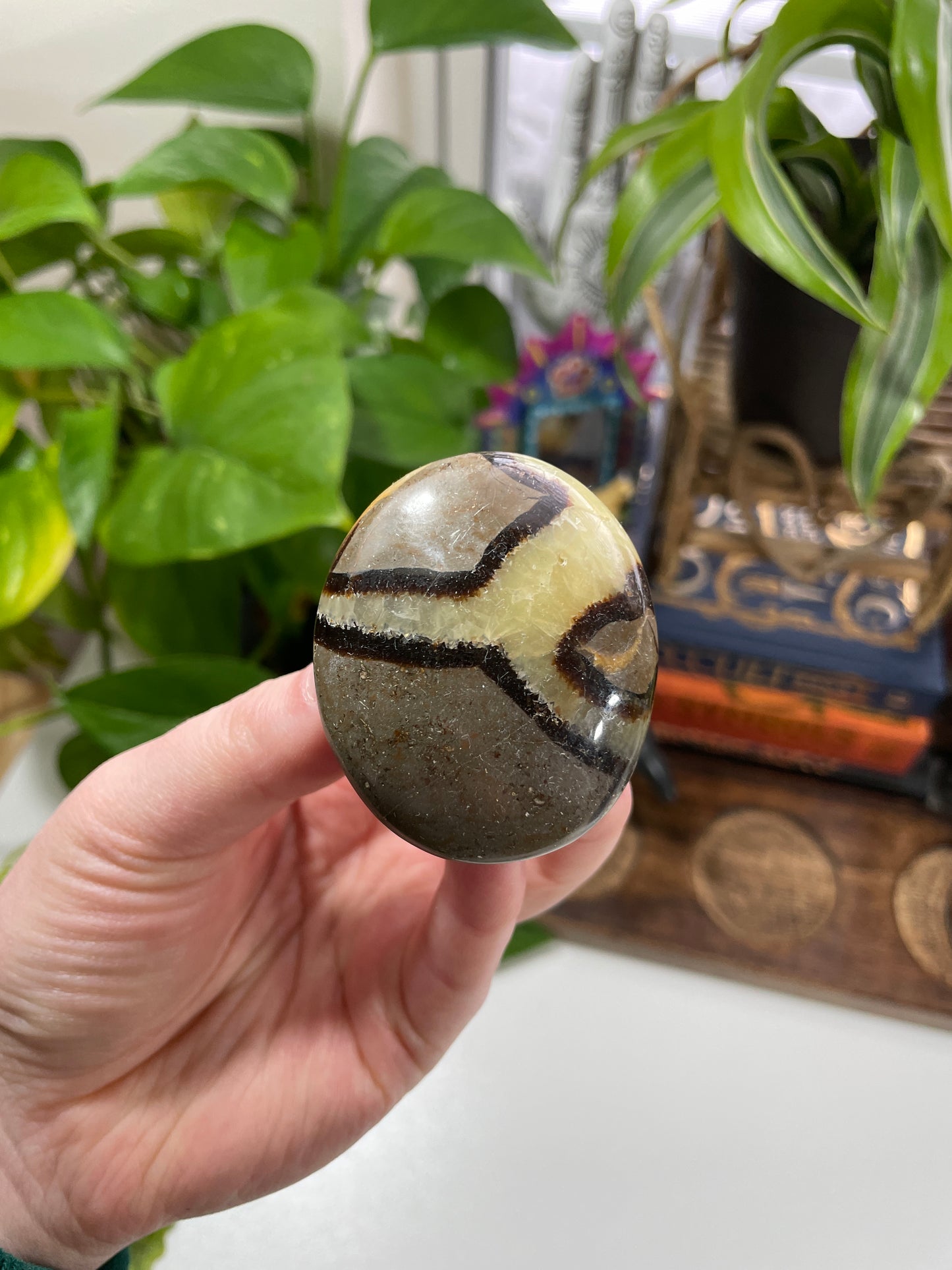 Septarian Small Palm Stone