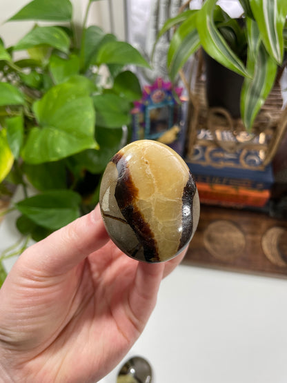 Septarian Small Palm Stone