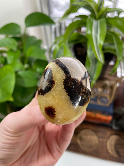 Septarian Small Palm Stone