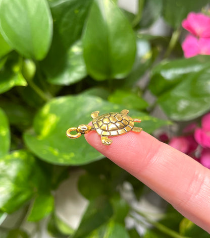 Gold Turtle Charm