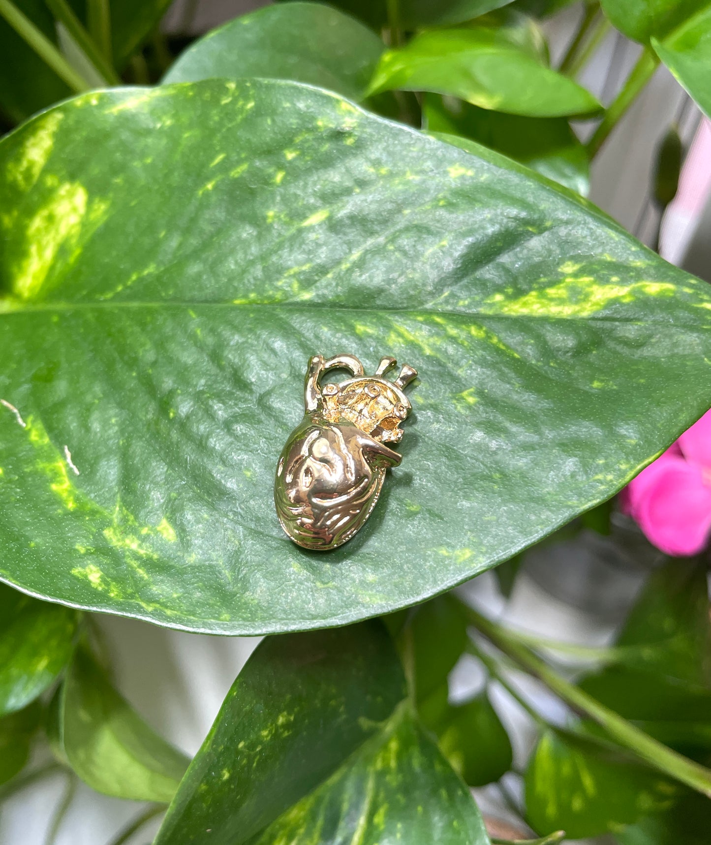 Gold Anatomical Heart