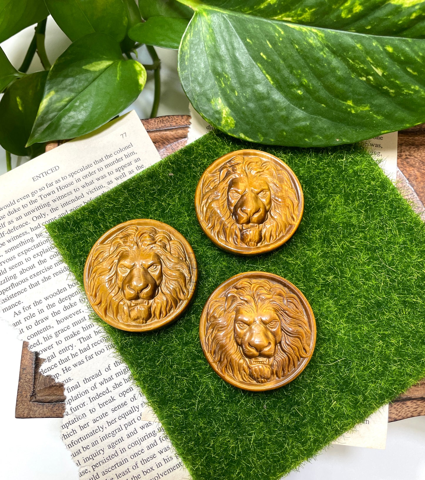 Tigers Eye Lion Medallion Carving