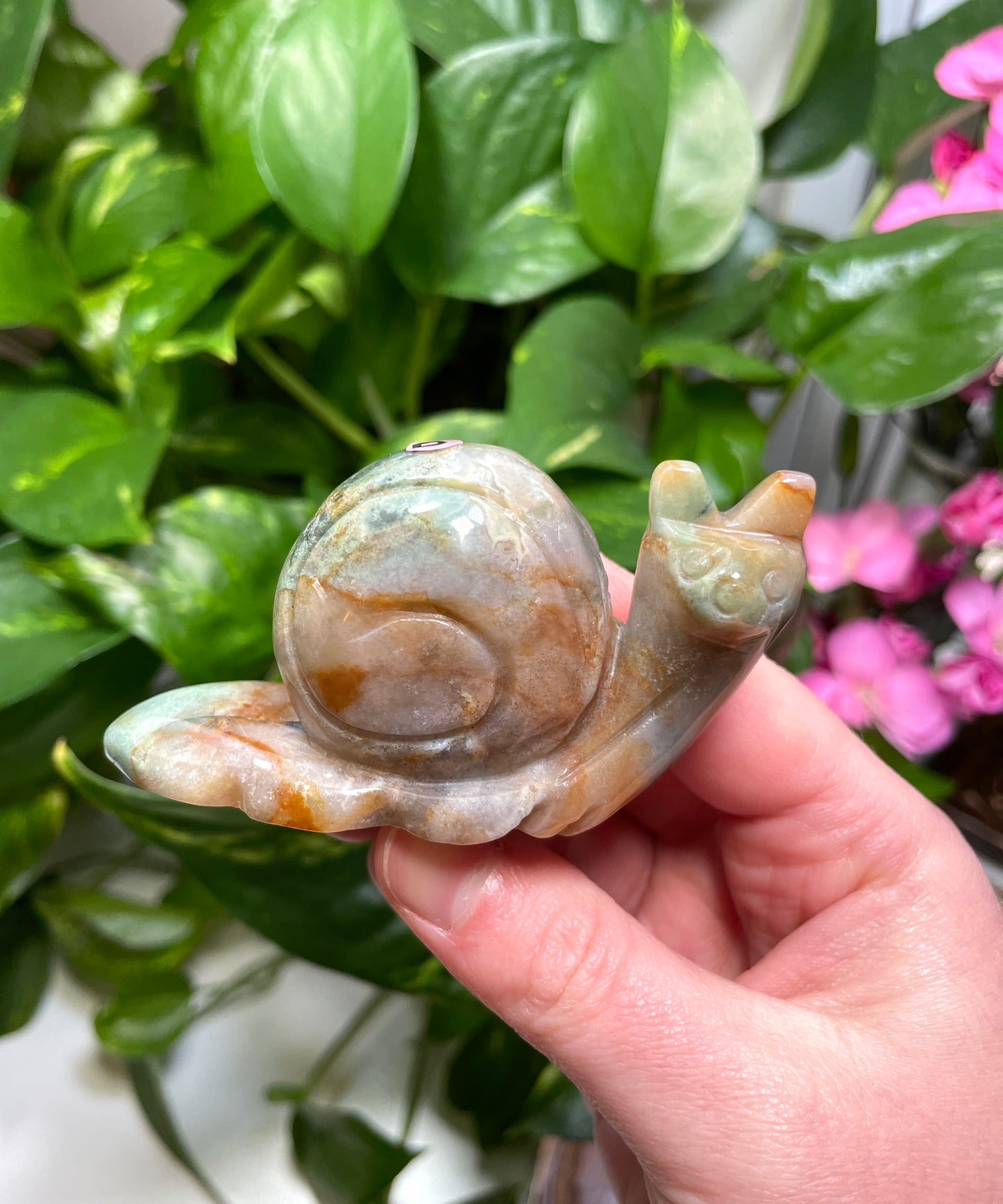 Ocean Jasper Snail Carving