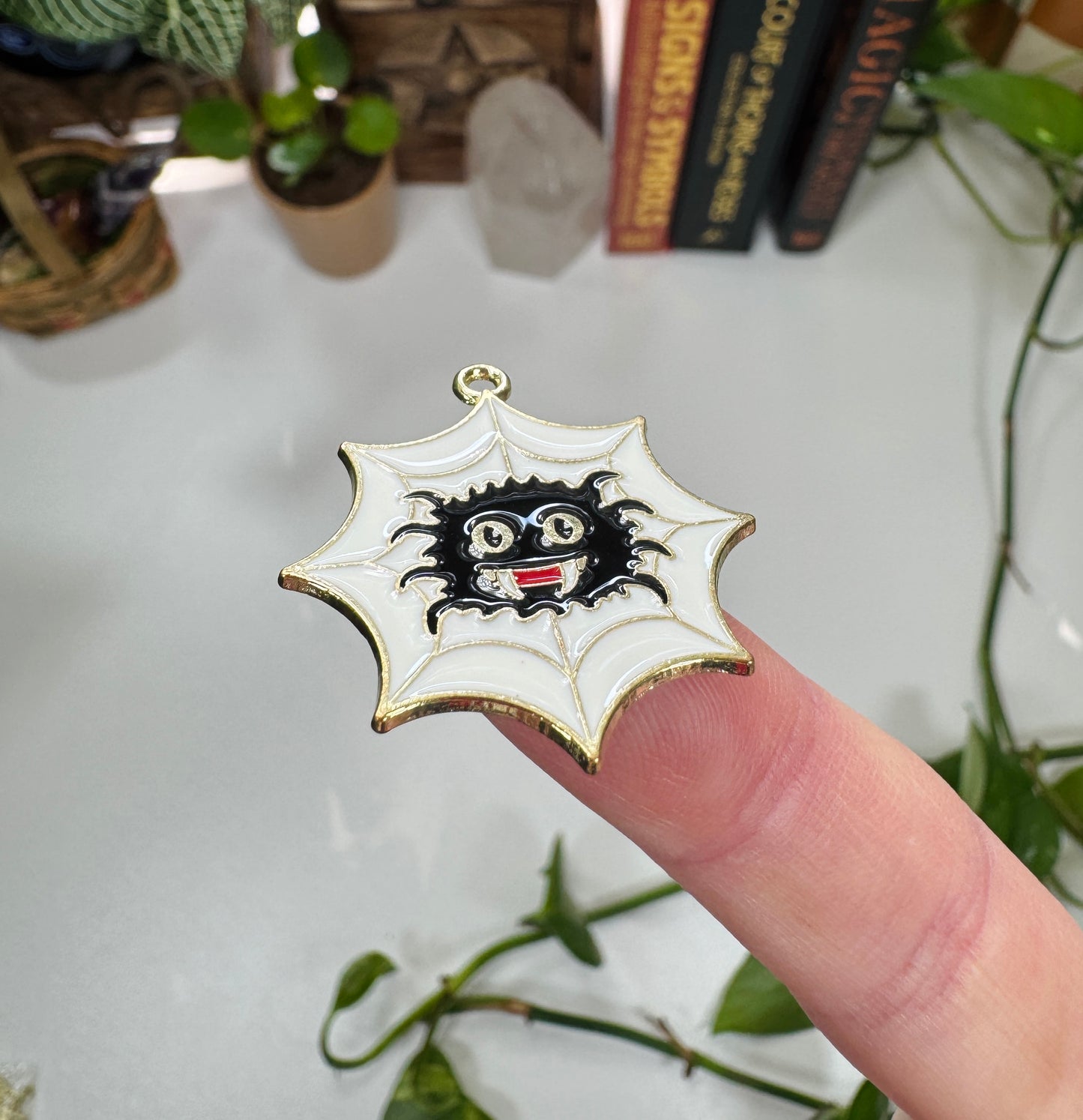 Spider in Web Charm