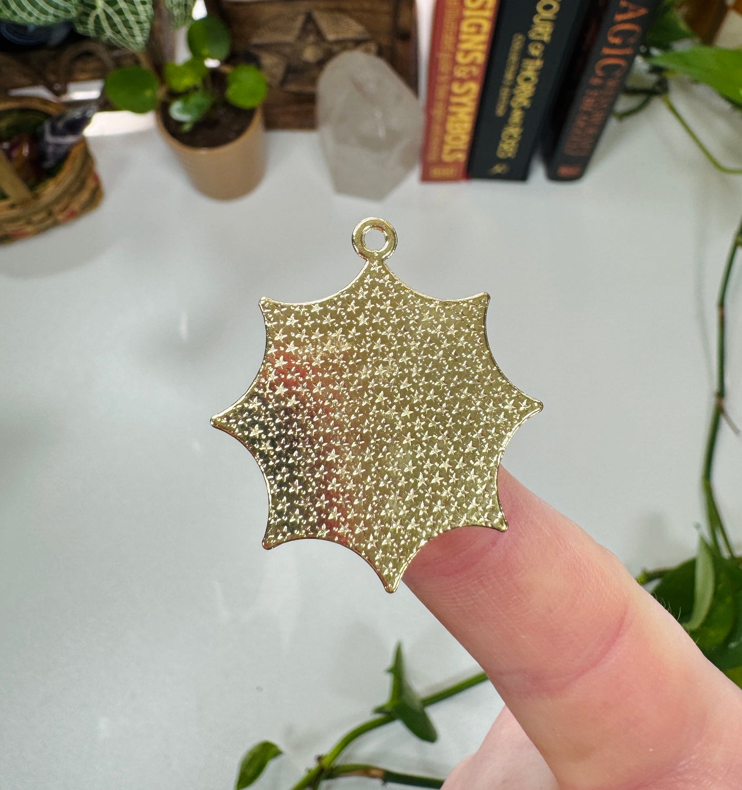 Spider in Web Charm
