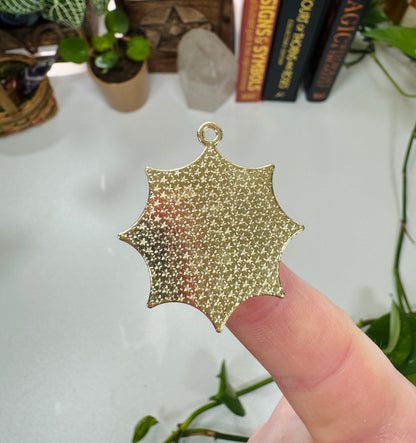 Spider in Web Charm