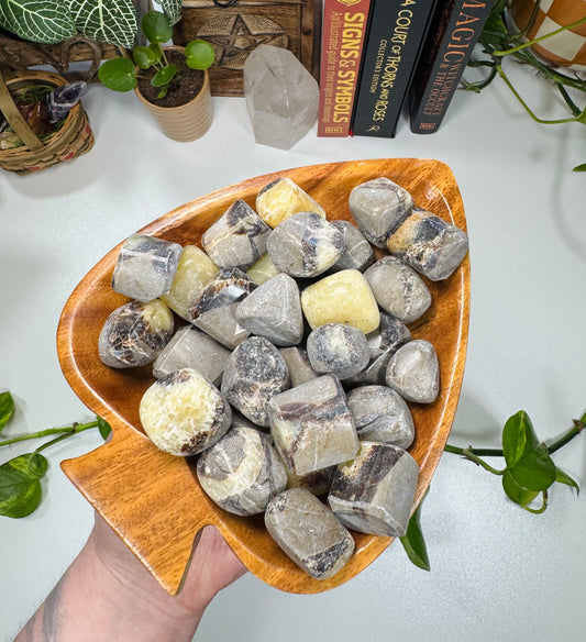 Septarian Tumble
