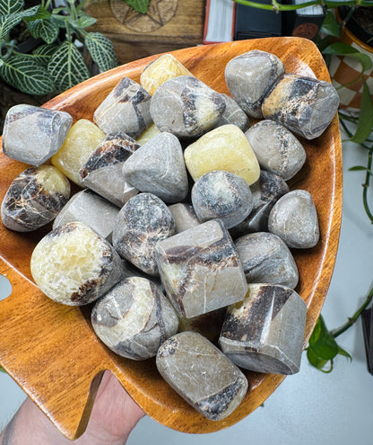 Septarian Tumble