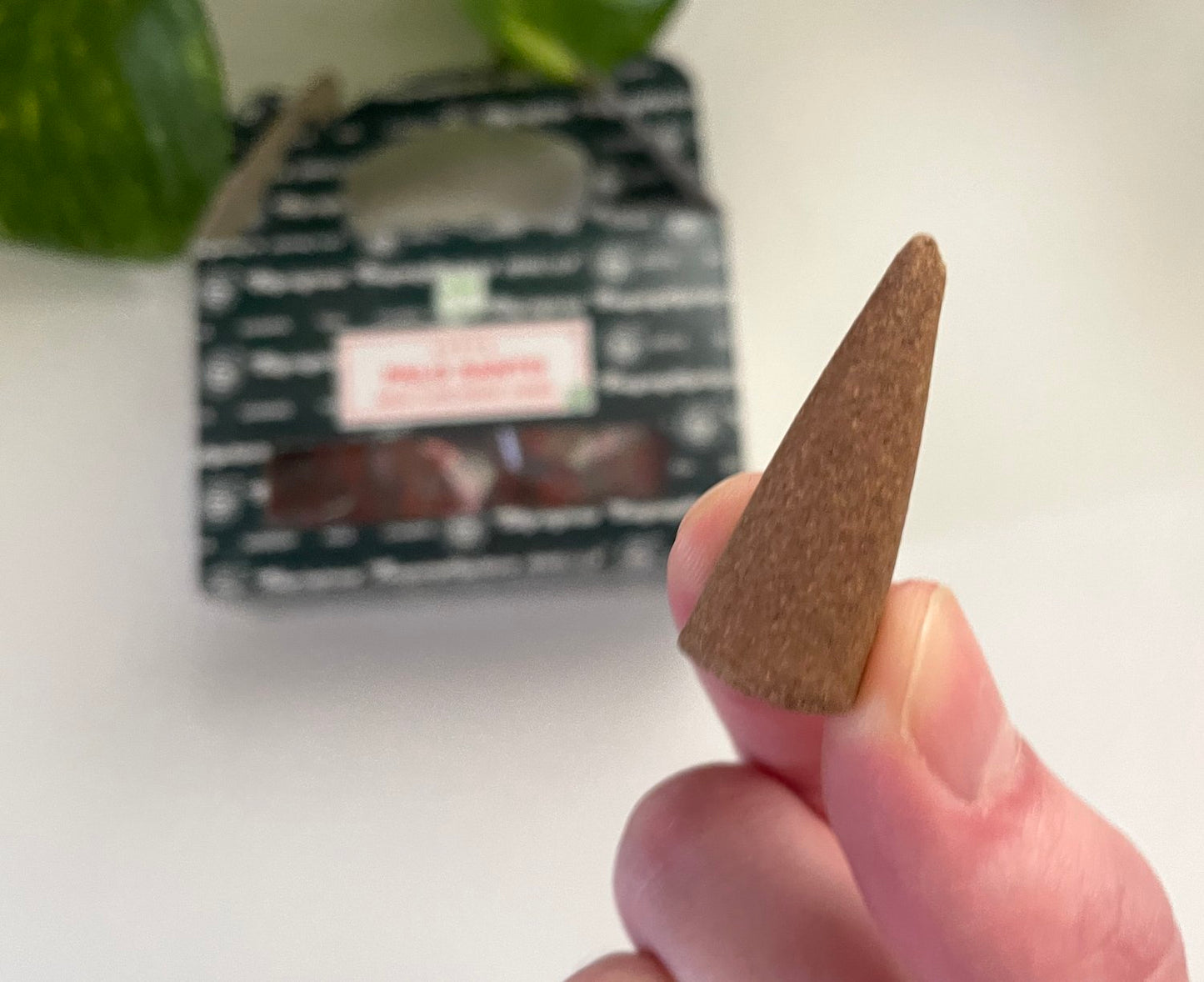 Palo Santo Satya Incense Cones