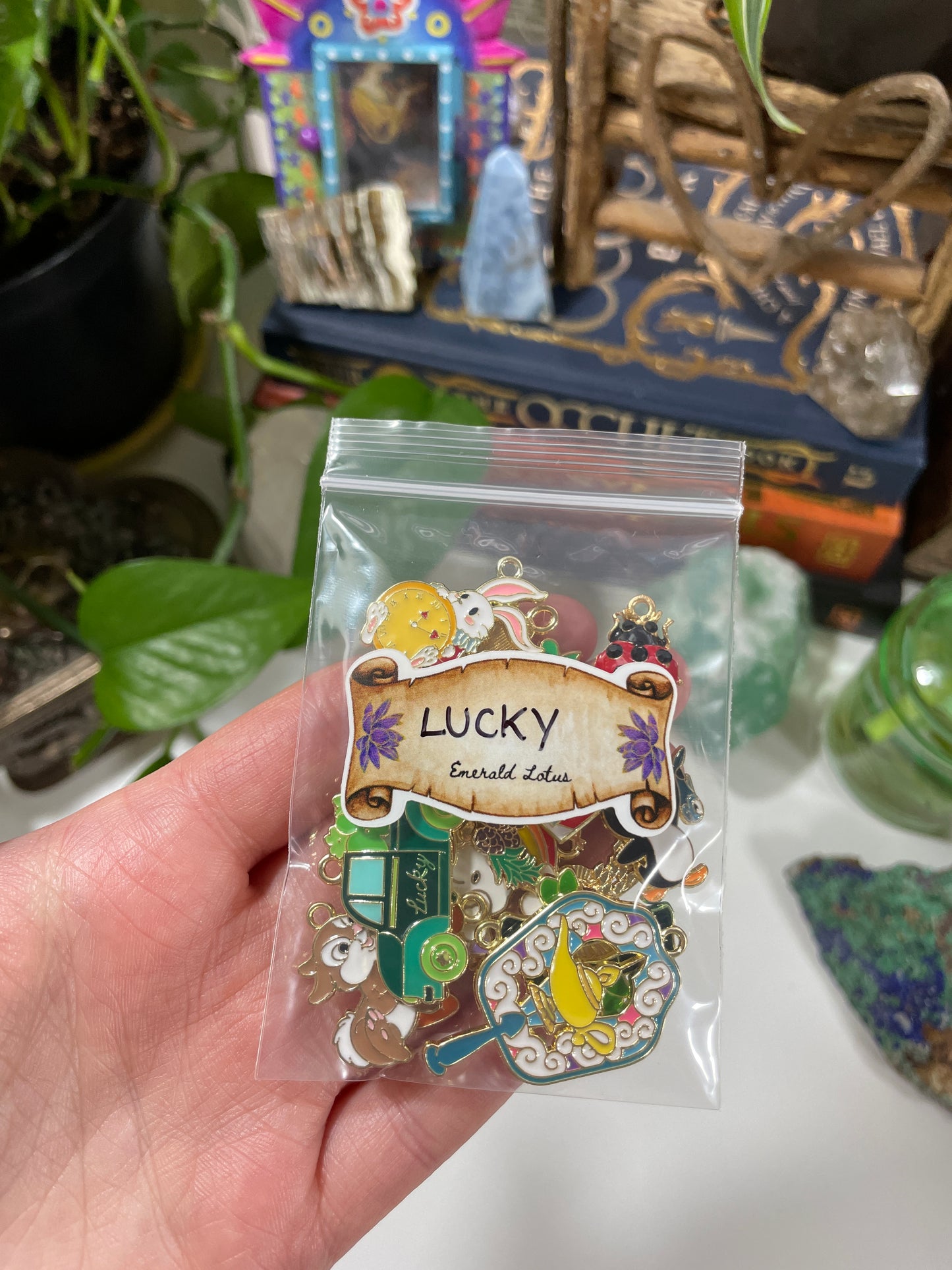 Lucky Girl Fortune Charm Pack