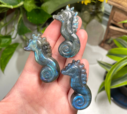 Labradorite Seahorse Carving