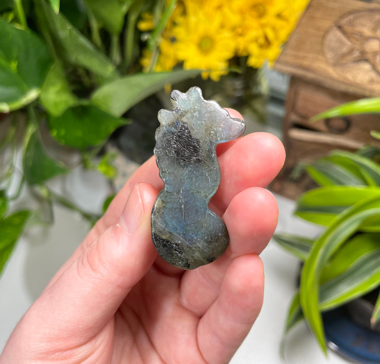 Labradorite Seahorse Carving