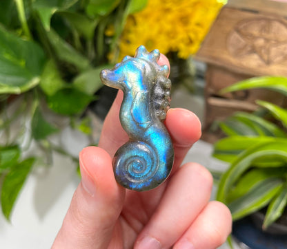 Labradorite Seahorse Carving