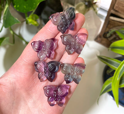 Fluorite Butterfly Mini Carving