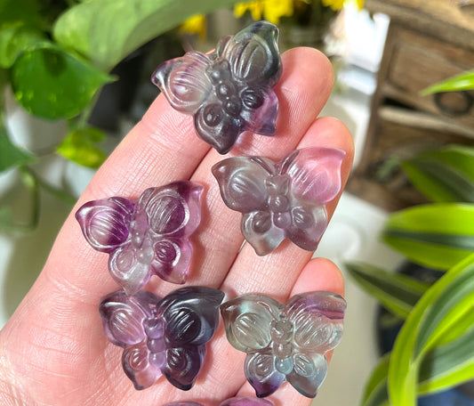 Fluorite Butterfly Mini Carving