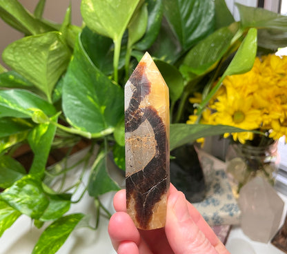 Septarian Point