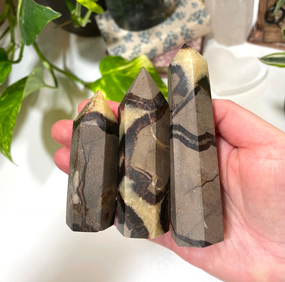 Septarian Point