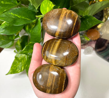 Tigers Eye Palm Stone