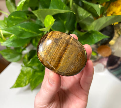 Tigers Eye Palm Stone