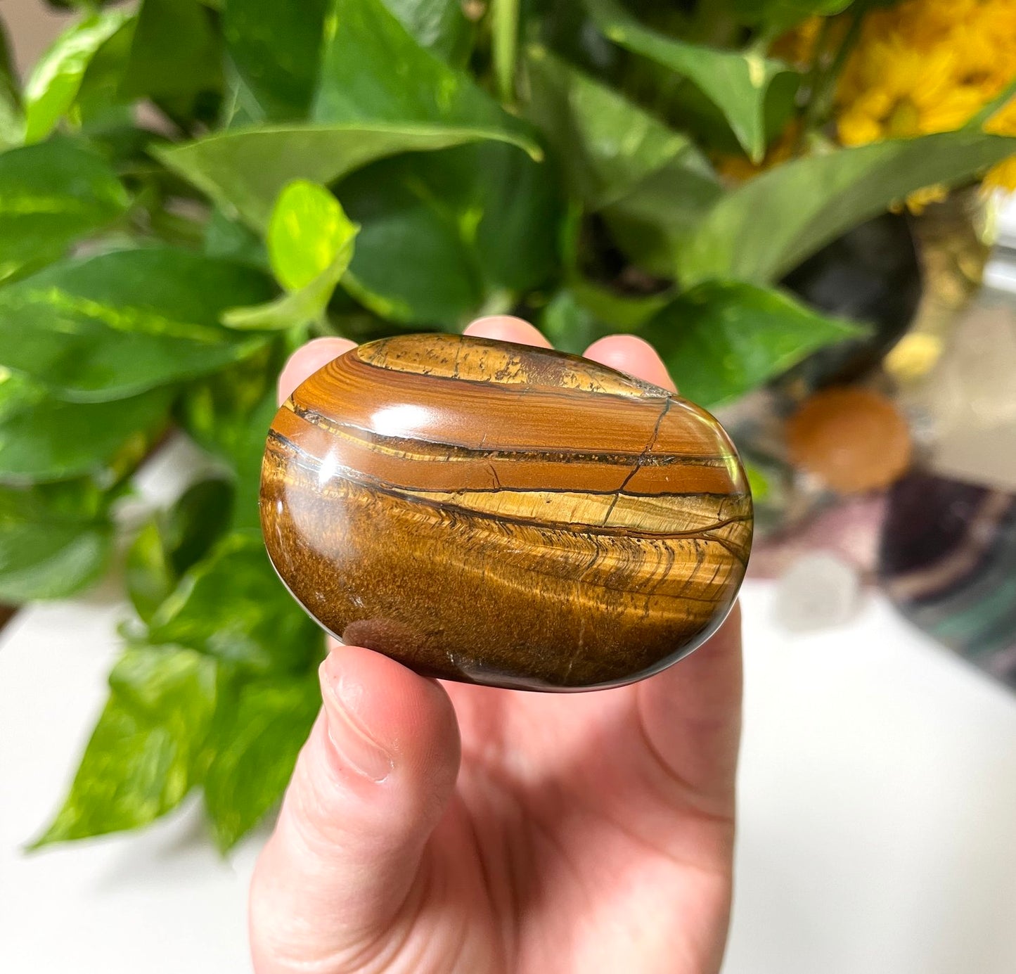 Tigers Eye Palm Stone