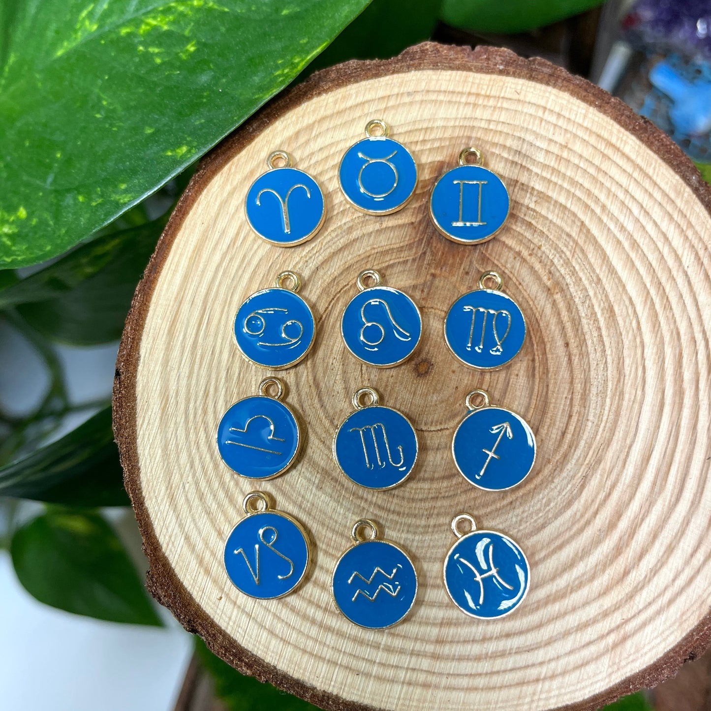 12 Astrology Zodiac Signs Charm Pack (Blue)