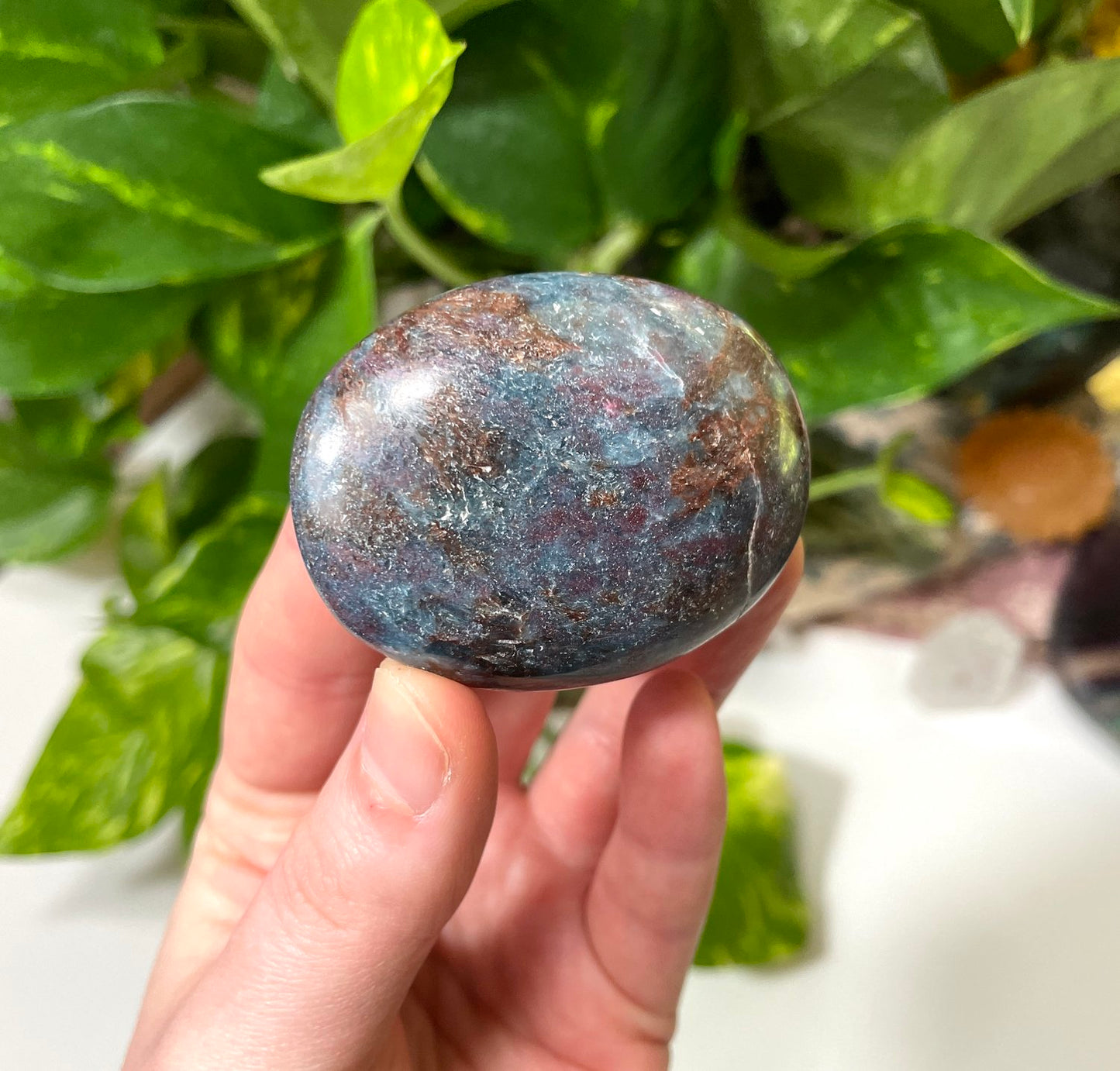 Ruby in Kyanite Small Palm Stone